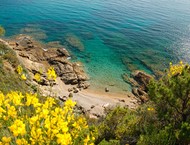 Isola Elba